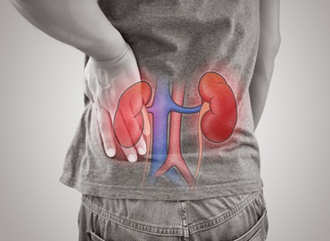Kidney Problem
